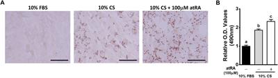 Transdifferentiation of Myoblasts Into Adipocytes by All-Trans-Retinoic Acid in Avian